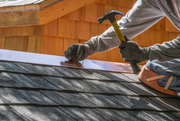 Best Solar Panel Roofing Installation  in Grosse Pointe, MI