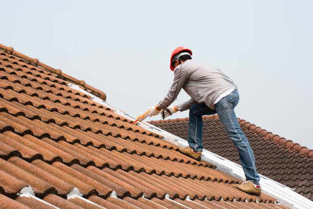 Best Storm Damage Roof Repair  in Grosse Pointe, MI